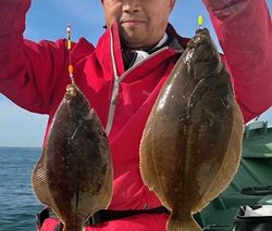 6/6釣果 カレイ船 | えびす屋釣具店